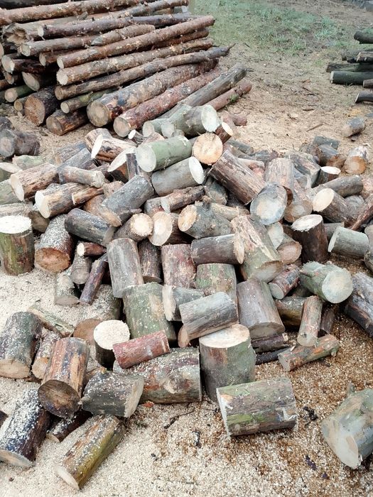 Sprzedam drzewo : wałki , pocięte lub połupane  6 6 7  O O 7 2 1 4