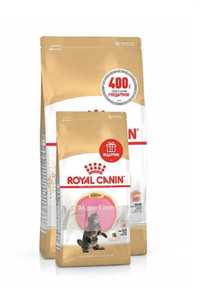АКЦИЯ! Royal canin Maine Coon Kitten 2кг+400гр.в Подарок!