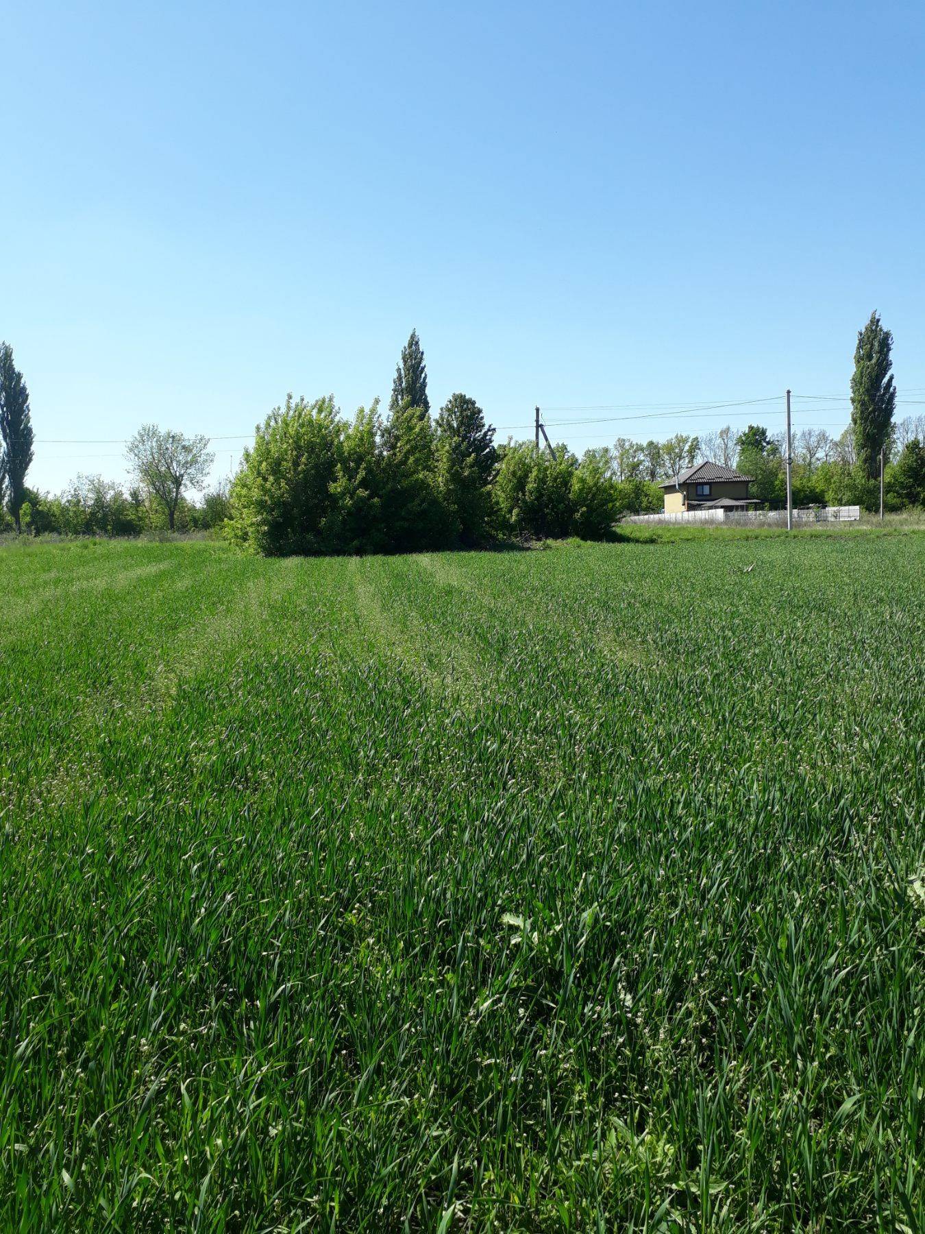 Продам земельну ділянку
