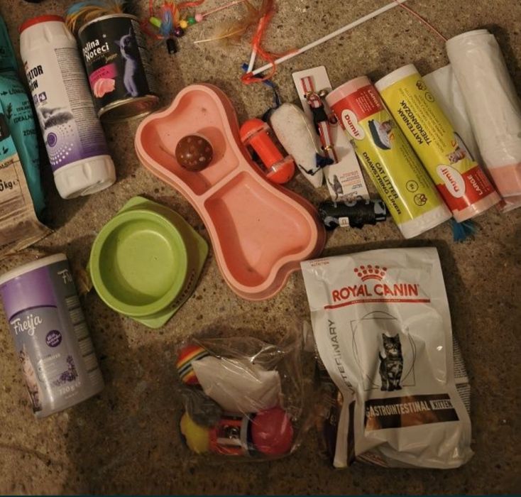 Wyposażenie wyprawka akcesoria dla kociaka
