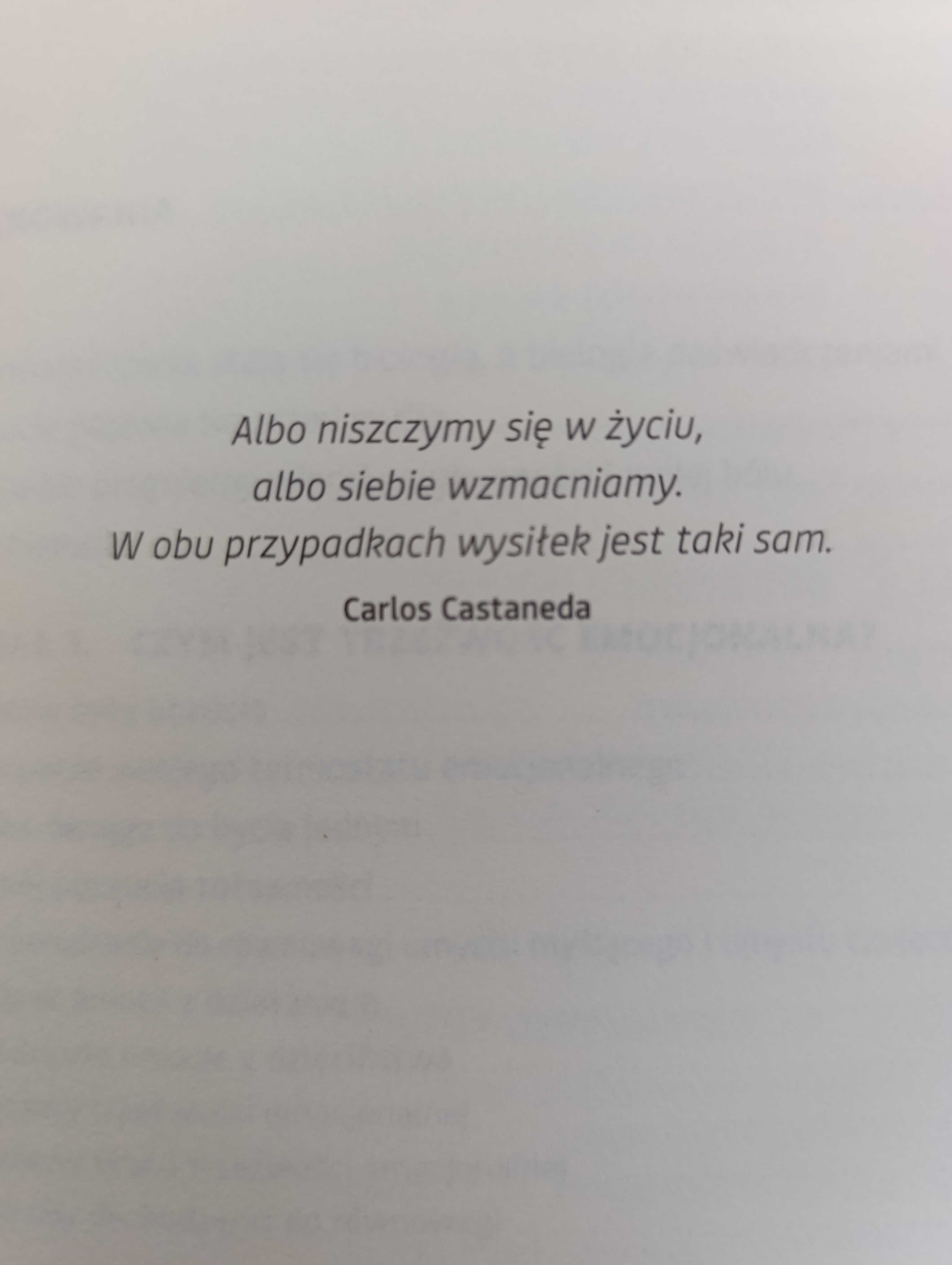 Książka Znajdź spokój wewnętrzny. Pomoc dla DDA i DDD Tian Dayton