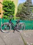 Rower damski Batavus