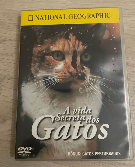 A Vida Secreta dos Gatos