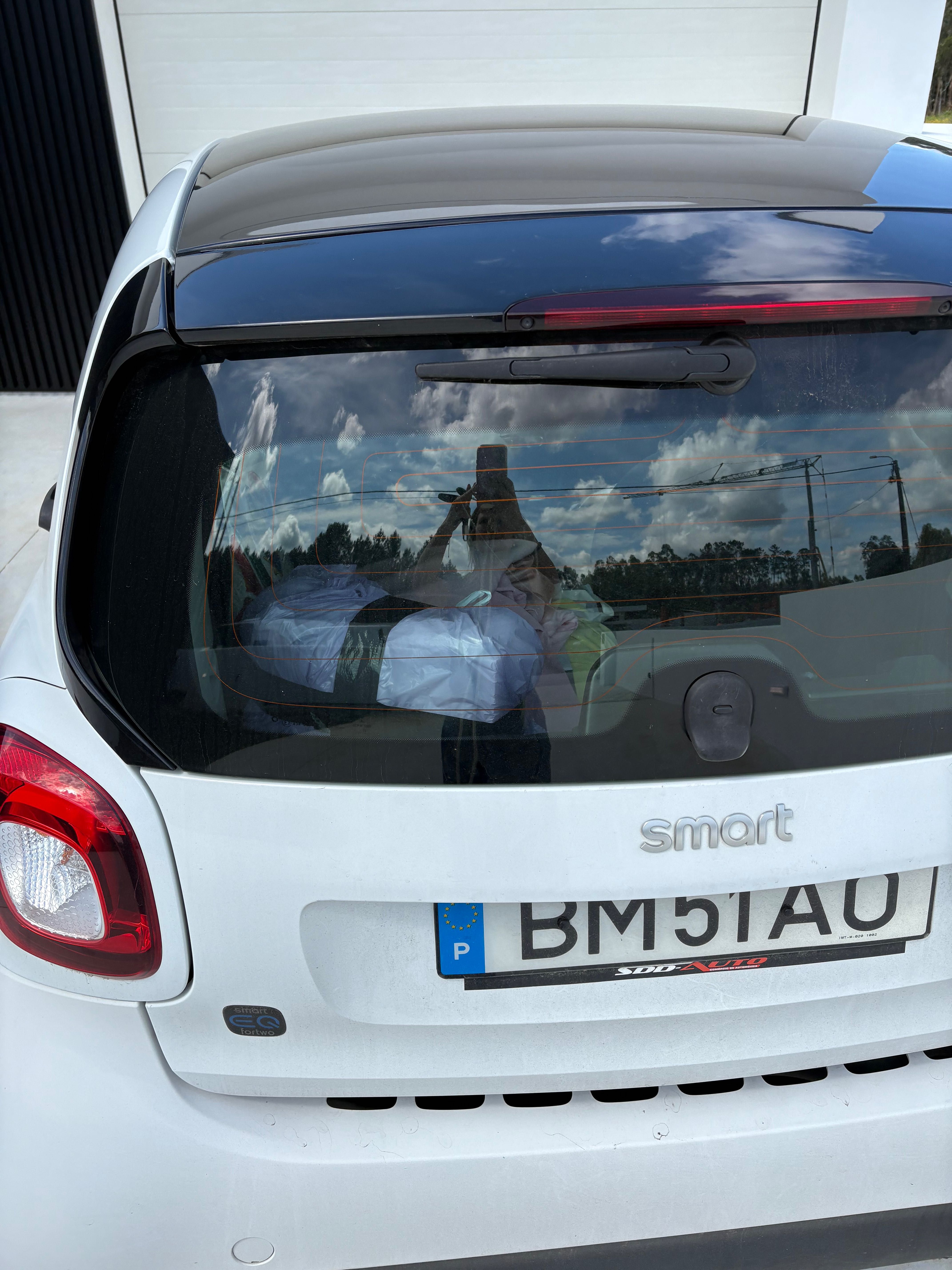 Smart elétrico 2020