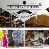 Sprzedaż hurtowa skór owczych/Wholesale of sheepskins