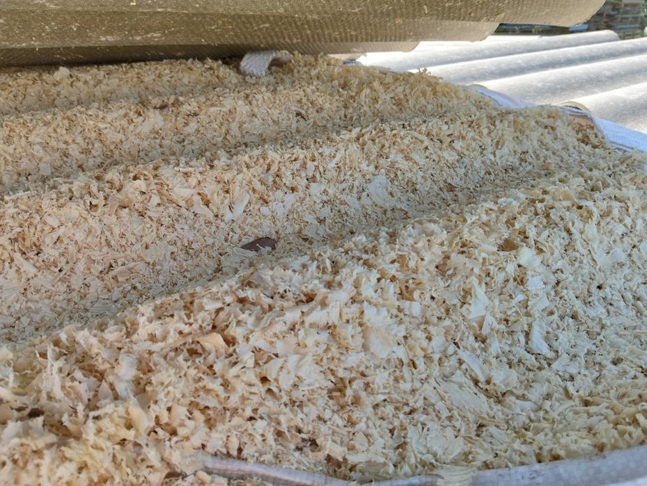 Wióra suche na pellet