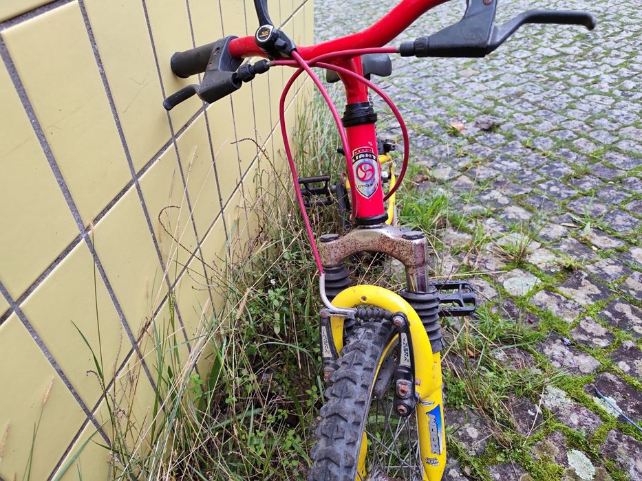 Bicicleta criança