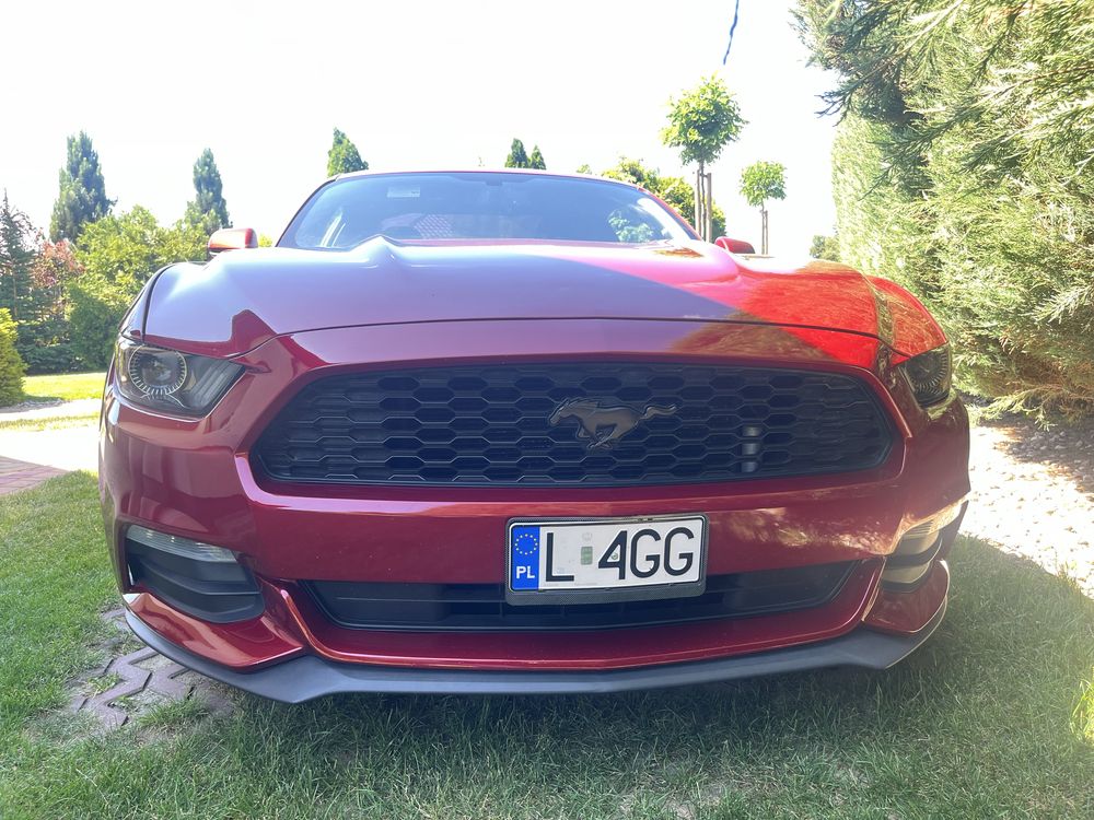 Mustang 6 silnik 3,7 V6 Ruby red