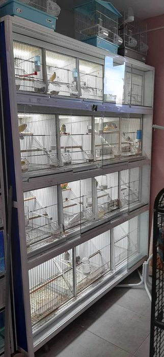Bateria para aves , Gaiolas