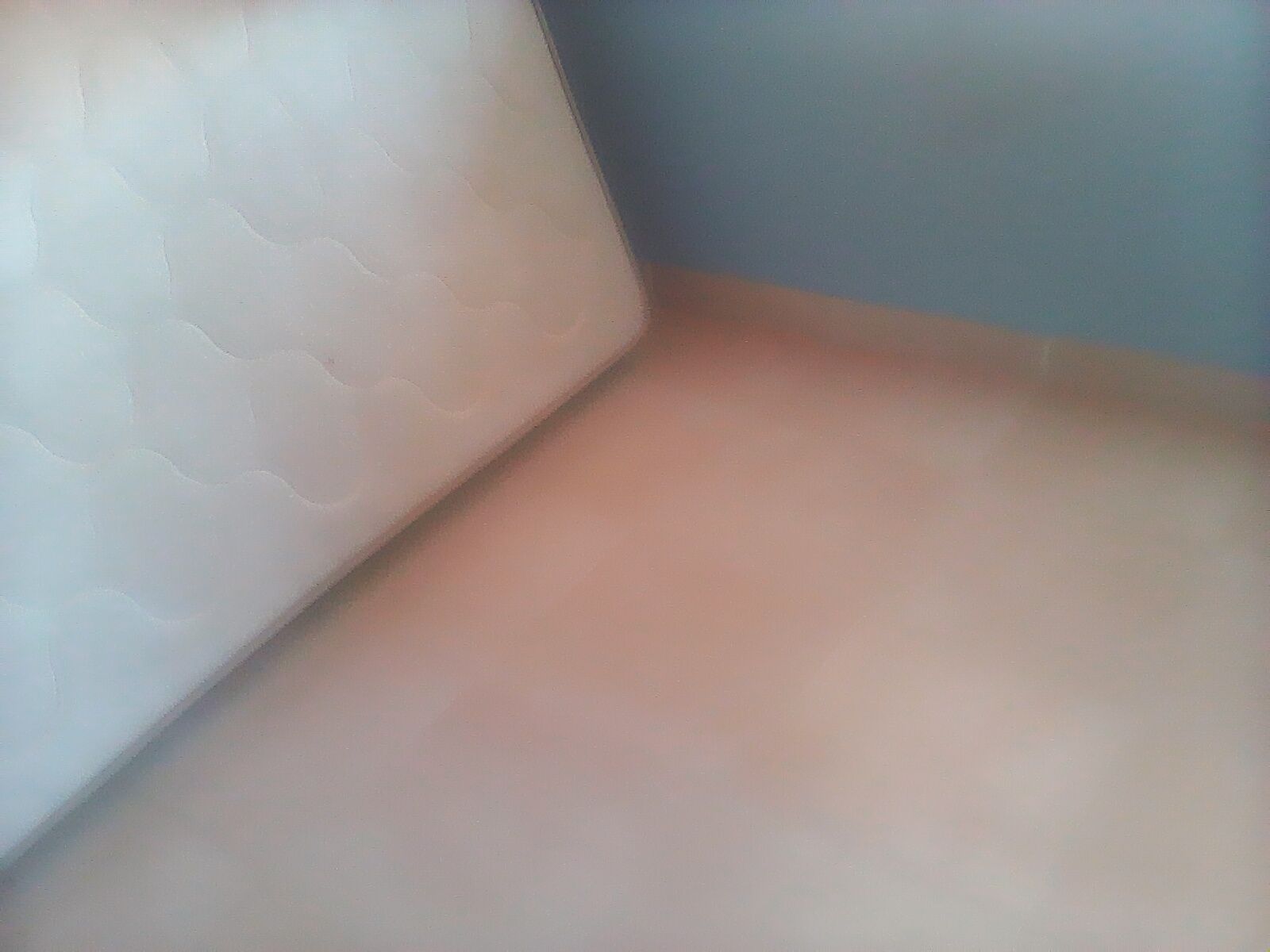 Alugo pequeno T1