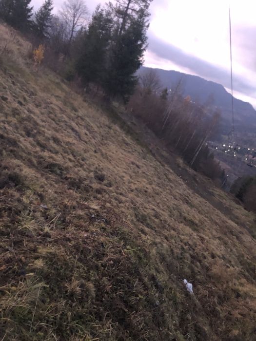 Земельна ділянка площа якої пядесять сотих