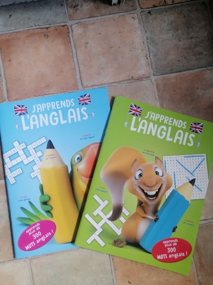 Ćwiczenia angielsko-francuskie *