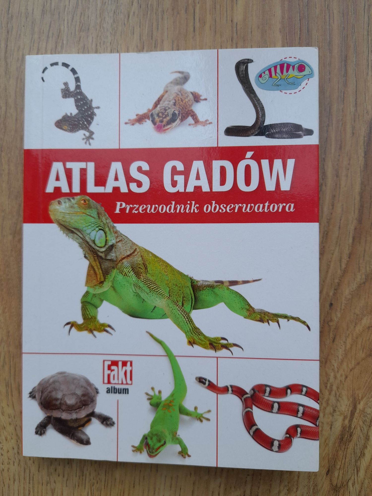 Drewniane stemple dinozaury i szablony +gratis atlas