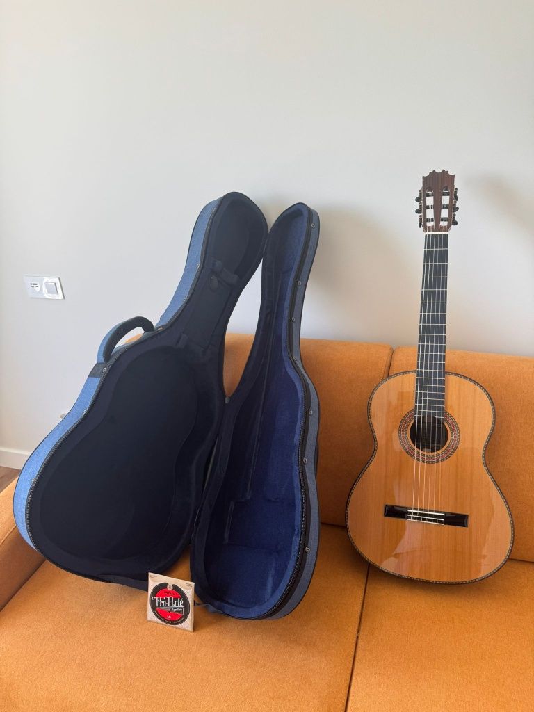 Guitarra em Muito Bom Estado