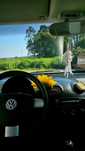 Vw New Beetle 2002