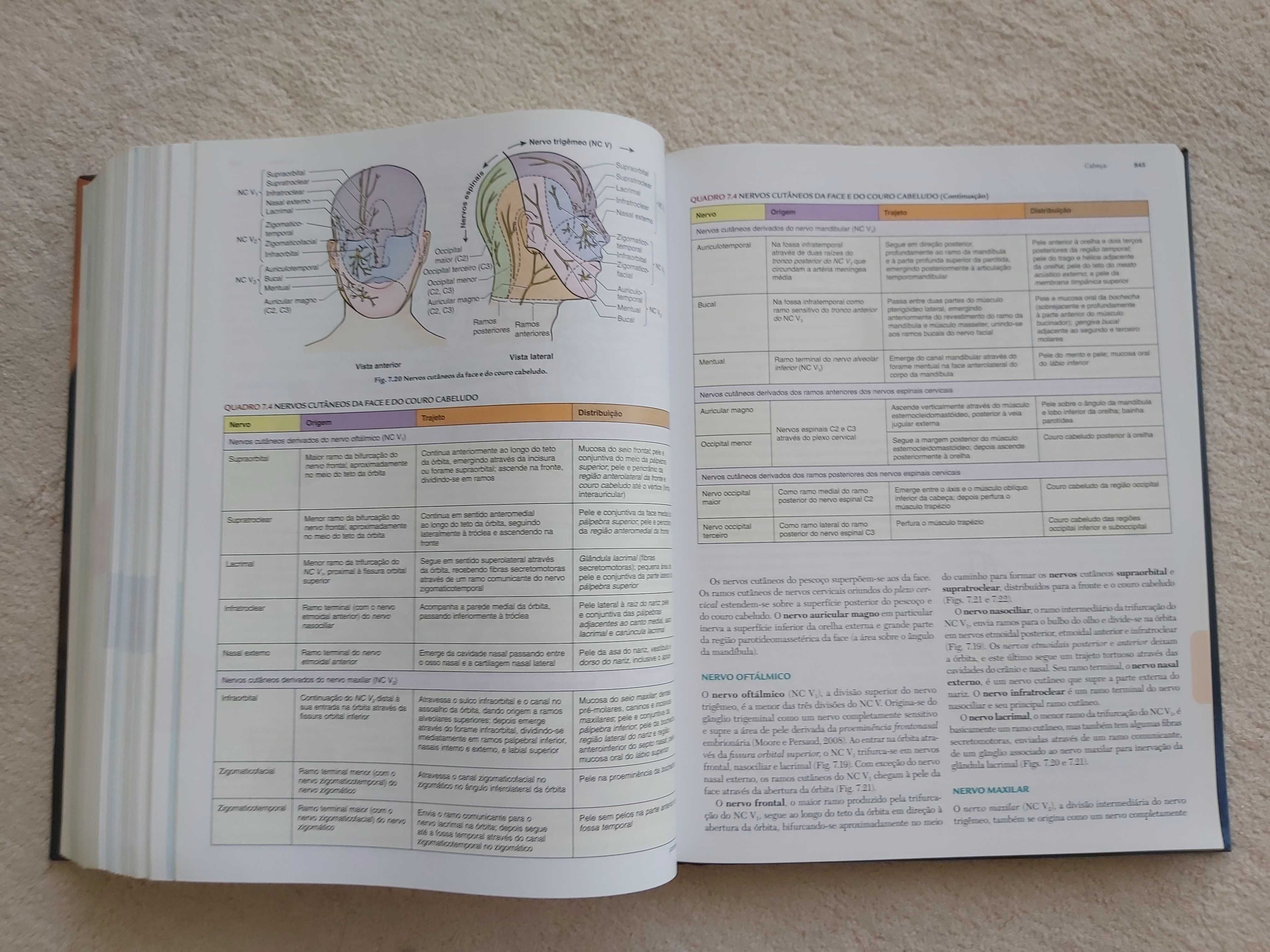 Livro Anatomia Orientada para a Clínica - Moore