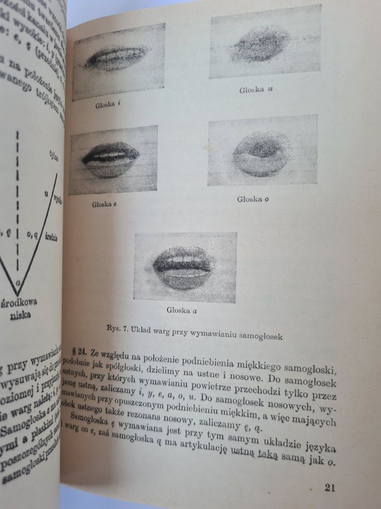 Podręczna gramatyka języka polskiego - Michał Jaworski