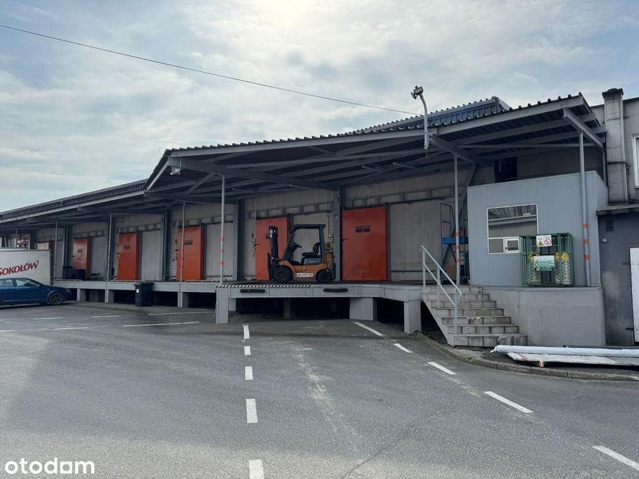 Chłodnie lub mroźnie na wynajem -20 stopni