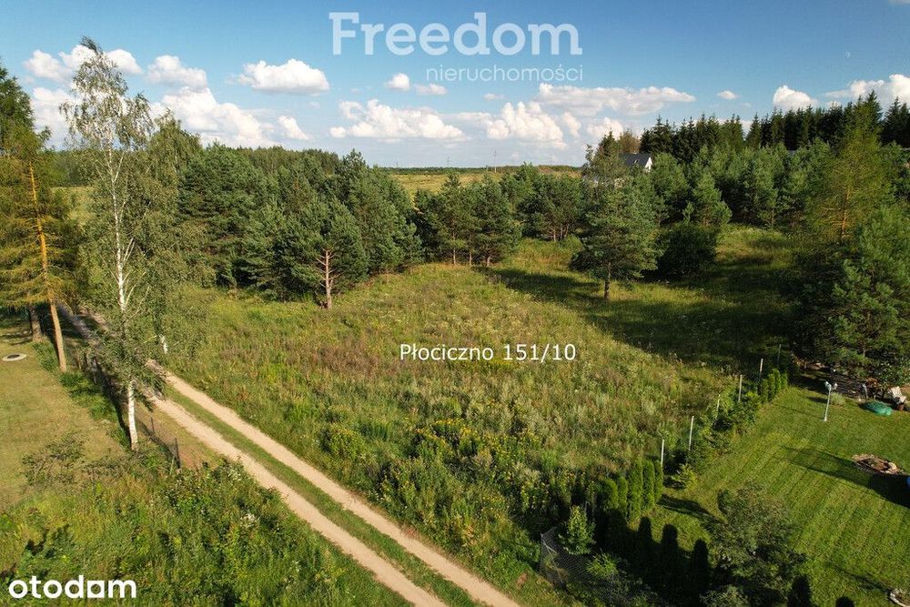 Na sprzedaż działka w Płocicznie.