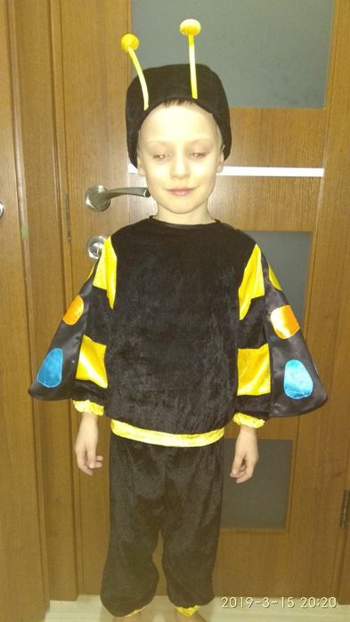 Костюм жук жучок павук зайка зайчик заец волк вовк ведмідь їжак їжачок