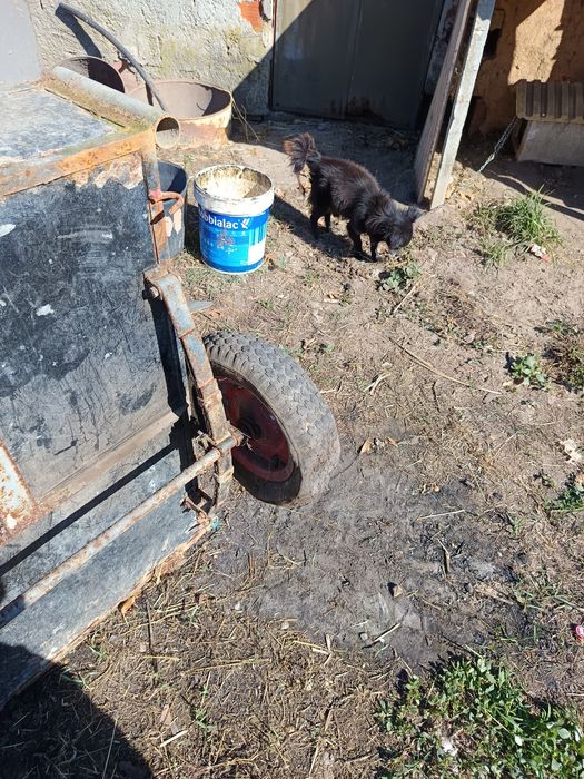 Atrelado para moto enxada