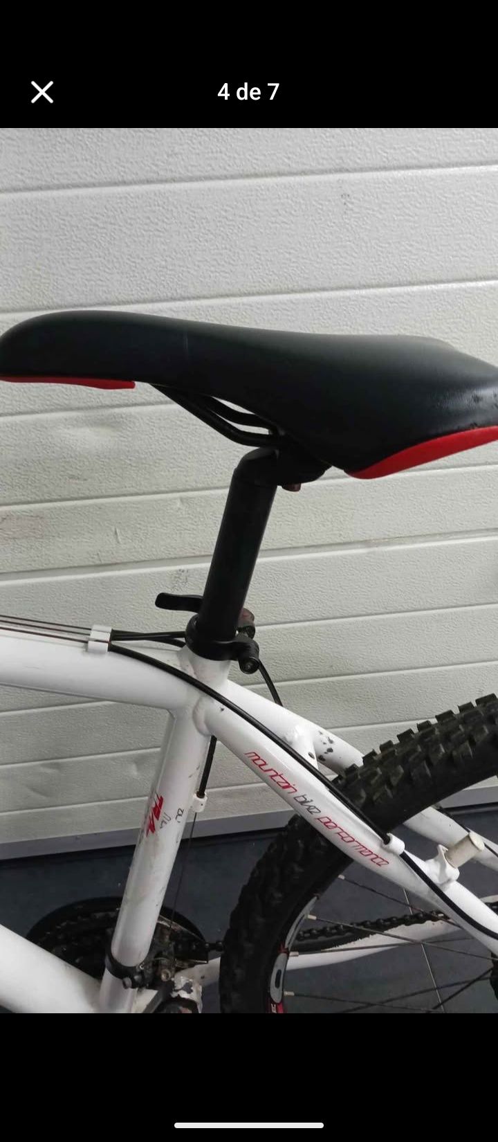 Troco bicicleta berg