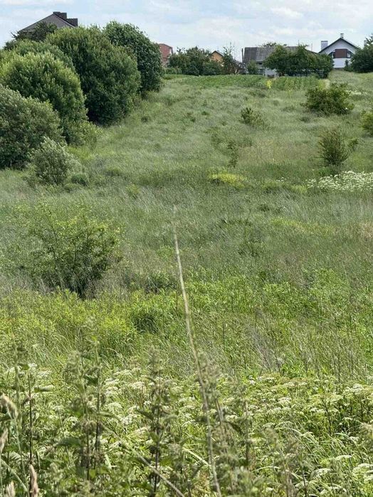 Продаж земельної ділянки, ОСГ, Сокільники