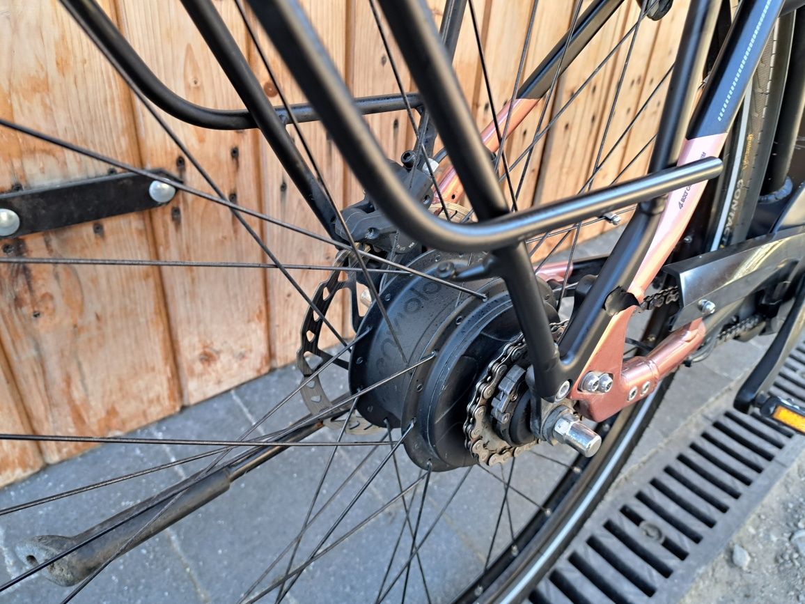Rower elektryczny PEGASUS TECARO Bosch Performance CX NuVinci M 53