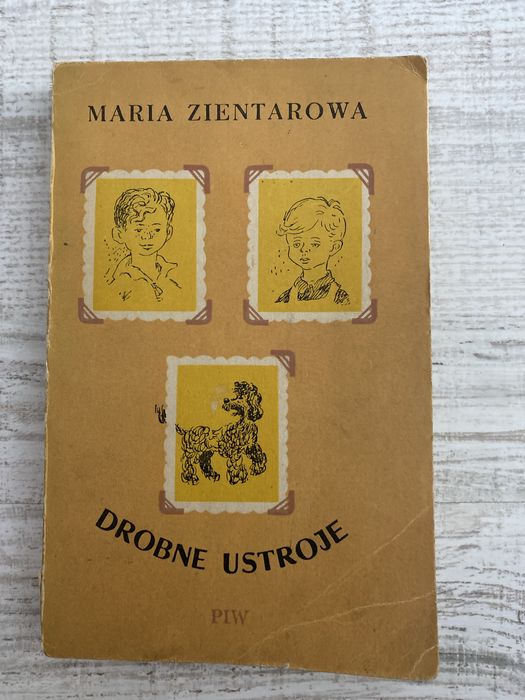 Drobne ustroje - Maria Zientarowa