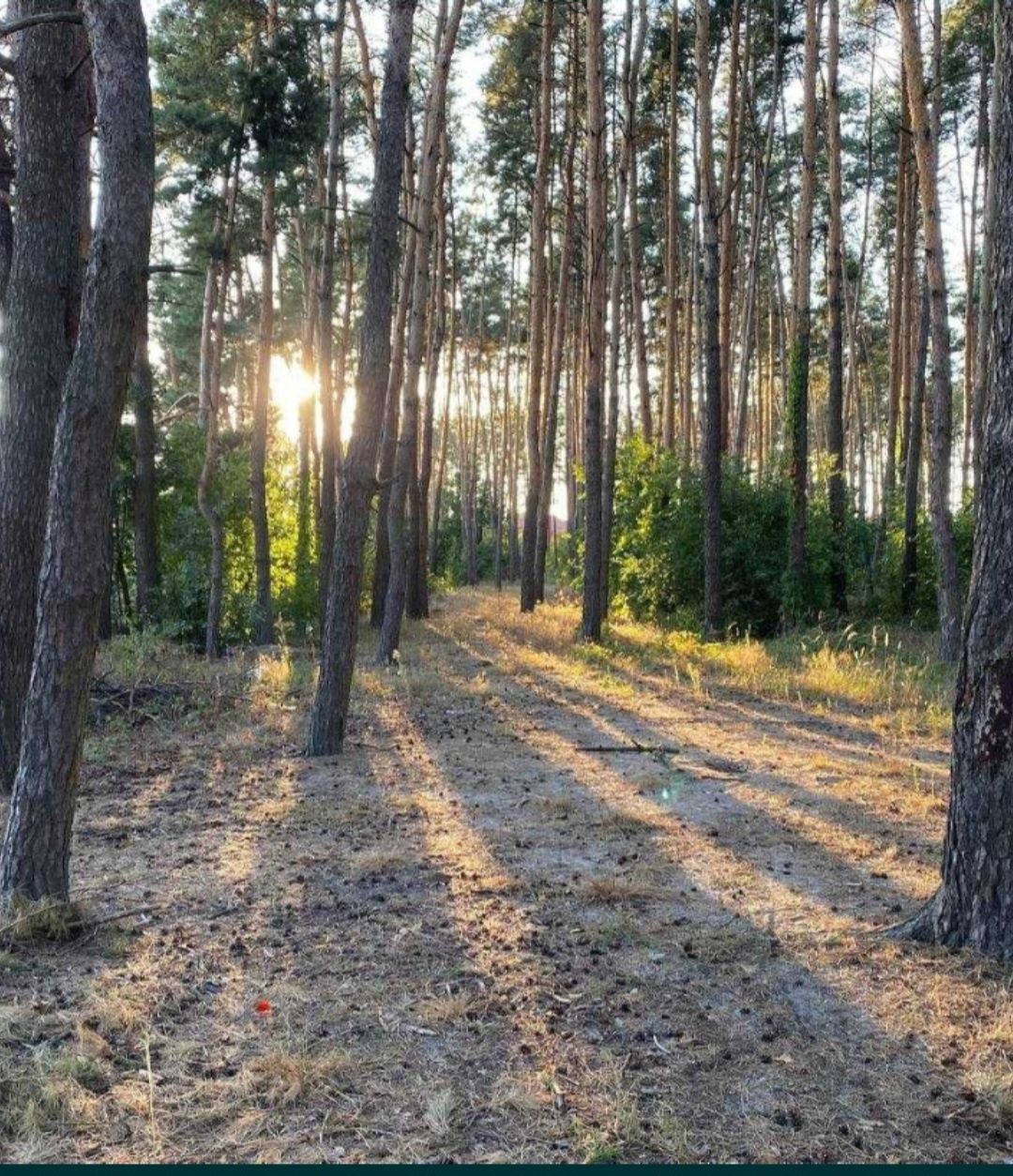 Велика земельна ділянка поряд з містом