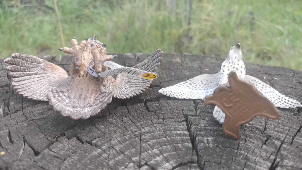 Фігурки птахів Шляйх Філін й Сокіл Schleich Eagle Owl Peregrine Falcon