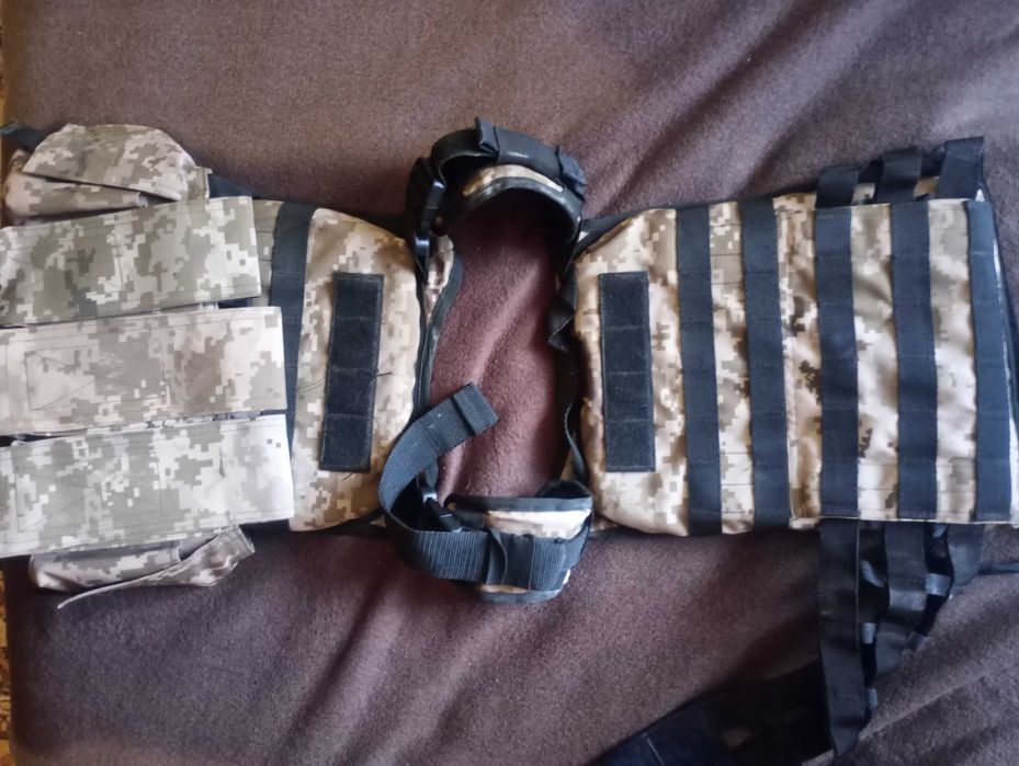 Плитоноска, класс 5