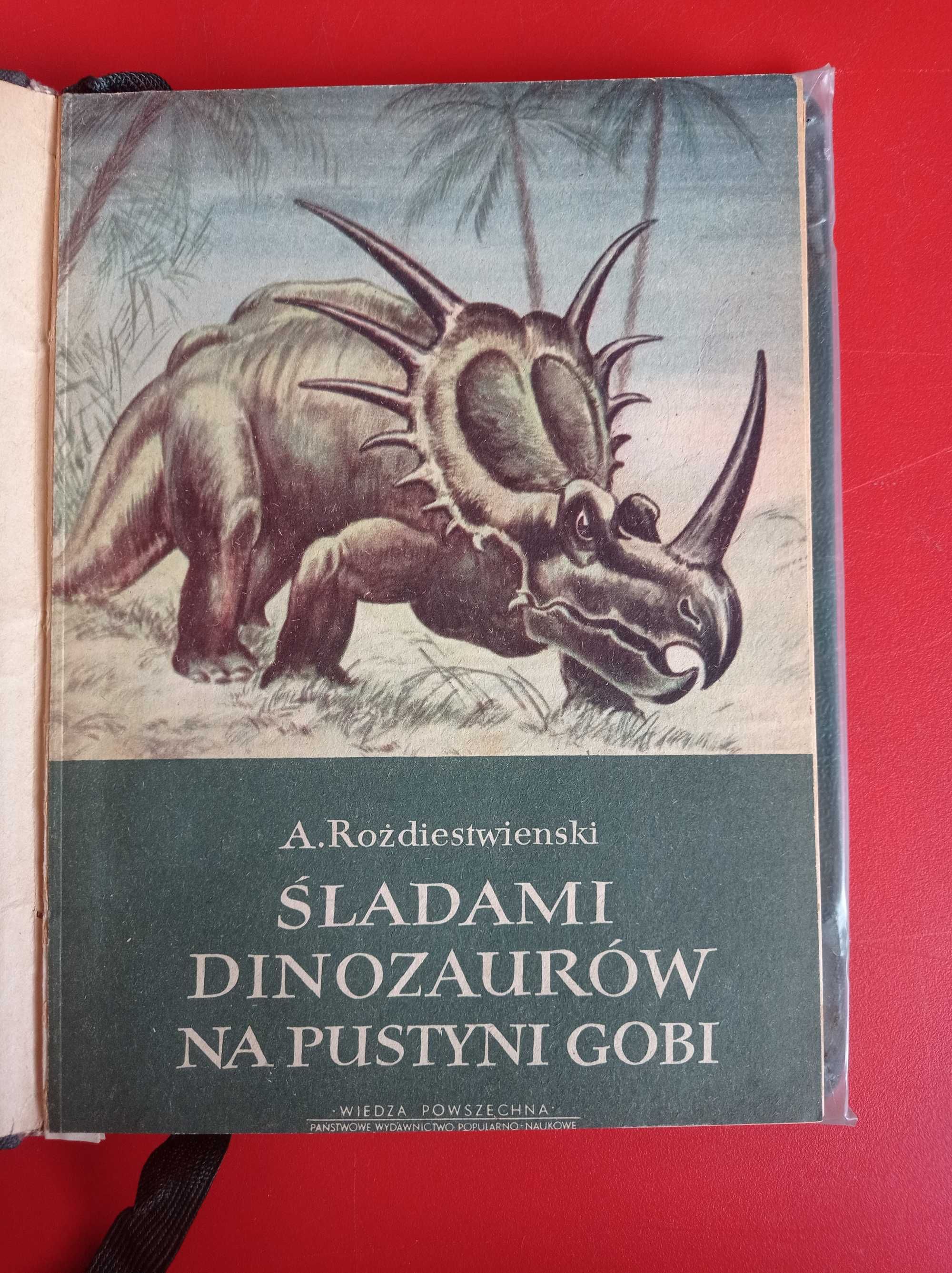 Śladami dinozaurów na pustyni Gobi, A. Rożdiestwienski