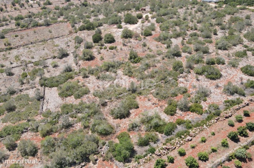 Terreno rústico em Messines, Casas Velhas, com 2.960m2