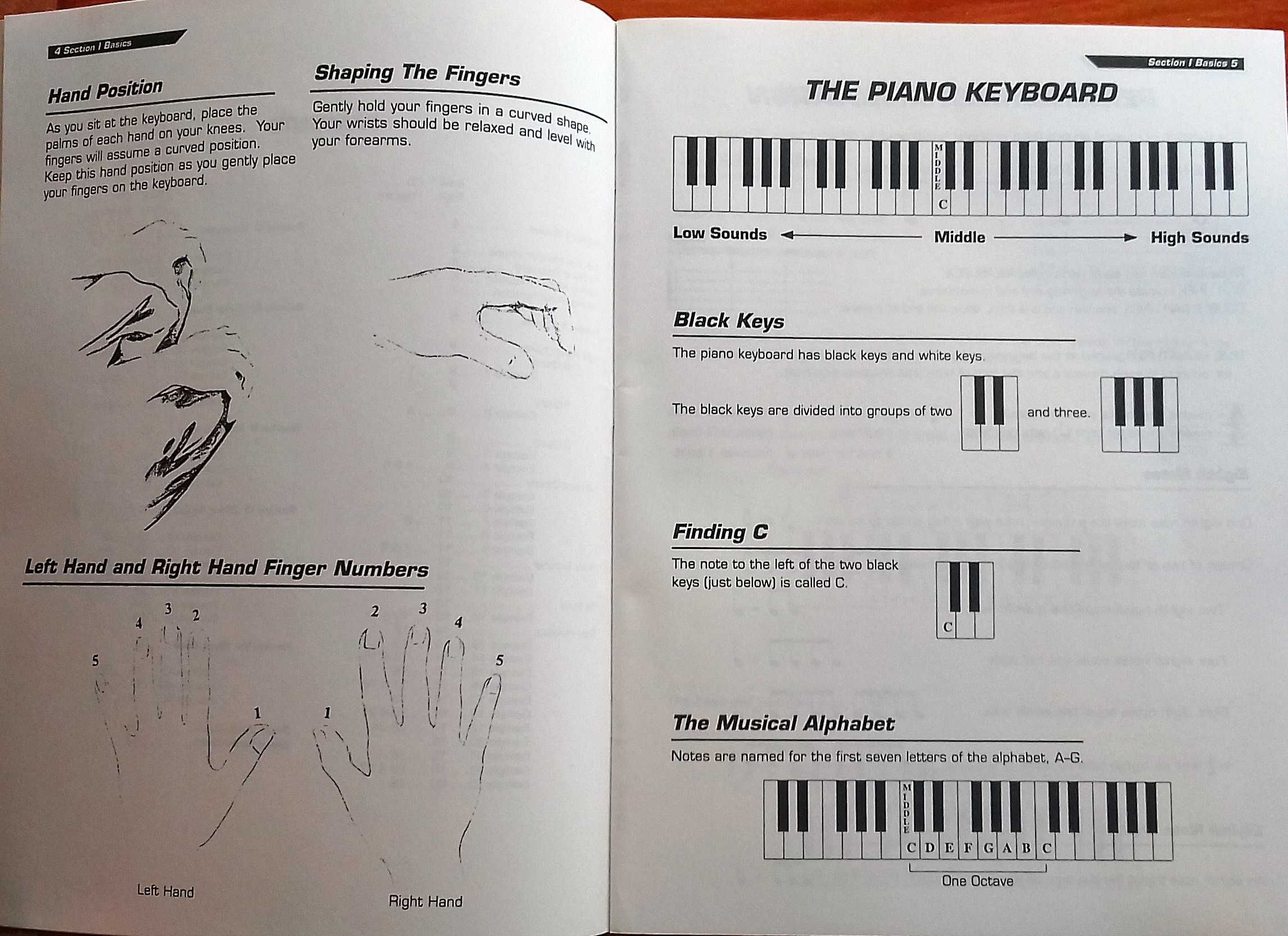 Cavalier e Steelman. Keyboard Basics Beginner Series Grande Incl porte