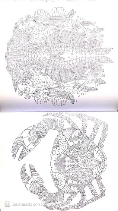 Livro Colorir Paraíso Tropical, estilo mandala