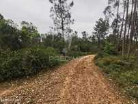 Terreno Rustico