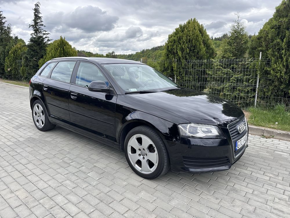 Audi A3 8p 5 drzwi 2.0tdi common rail, polift