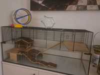Klatka akwarium dla chomika myszki 100 cm aqualand