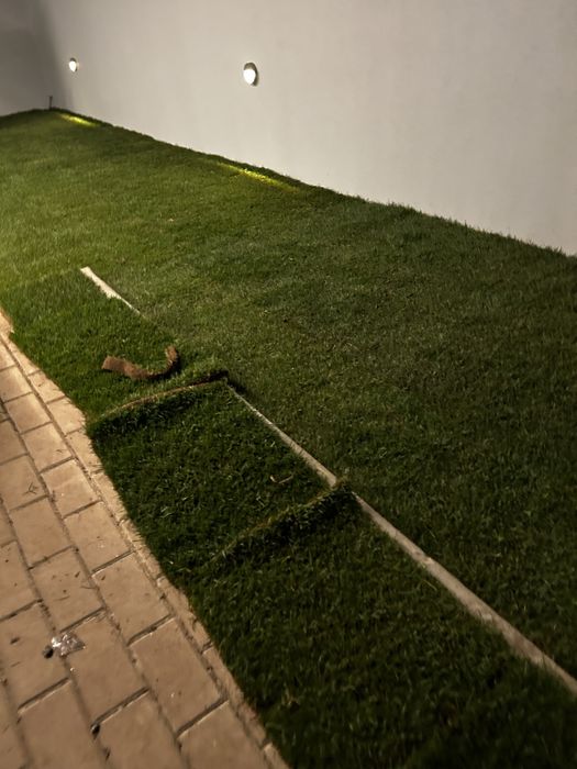 OFEREÇO 1.2 m2 de relva natural