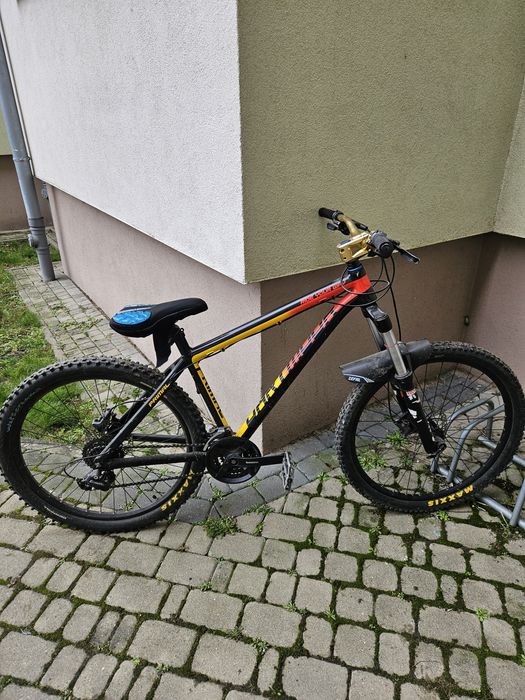 Rower Dartmoore Primal Doinwestowany