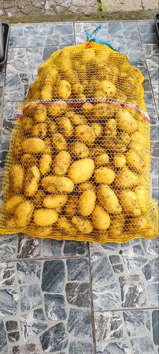 Ziemniaki Queen Anne 1.20