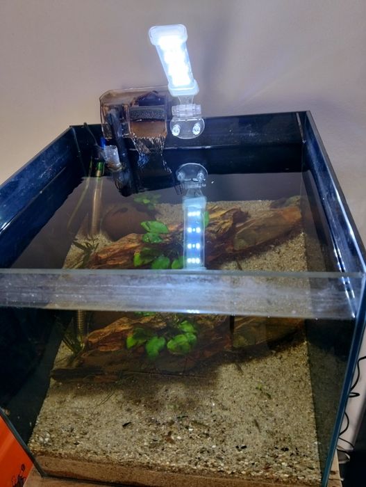 Aquário cubo de 40