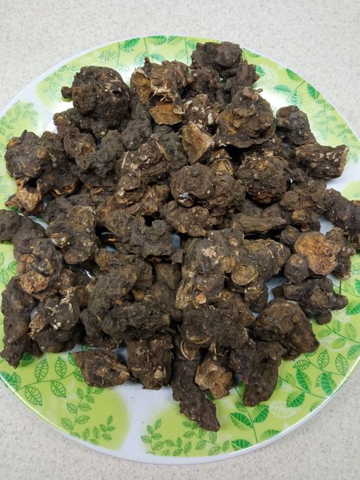 Калган сушений 2025 р