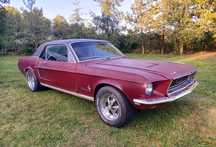 Ford Mustang V8-302 coupe