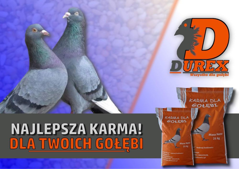 Karma dla gołębi