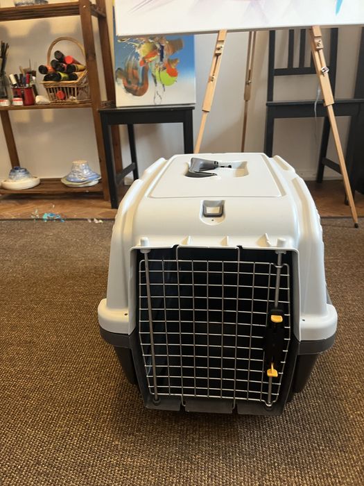 IATA transportadora nova