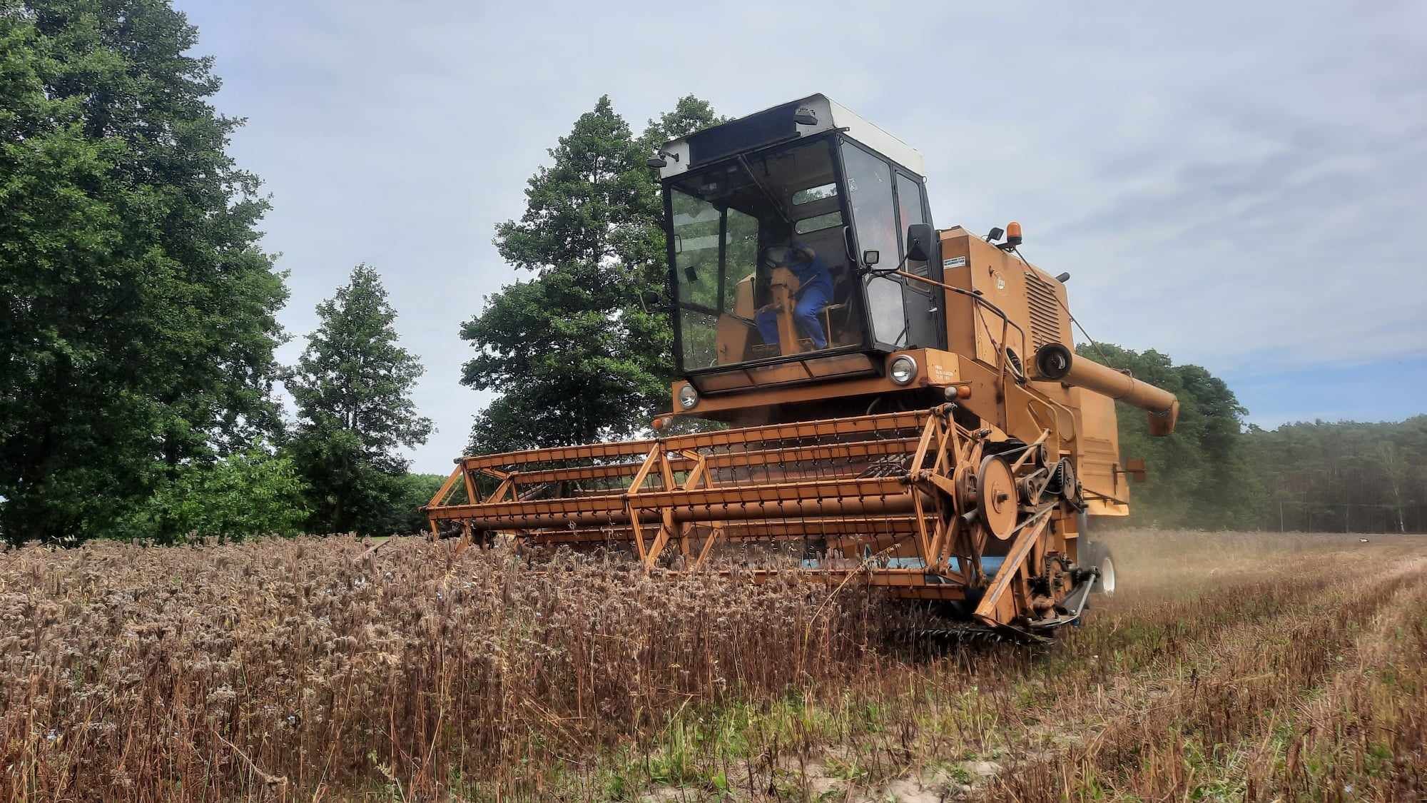 Kombajn zbożowy Bizon Z056