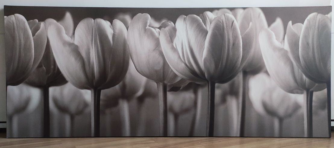 Obraz tulipany sepia