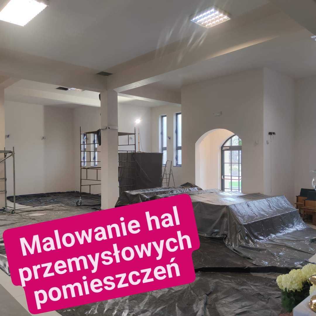 Malowanie Mycie dachów. Pracę wysokościowe.